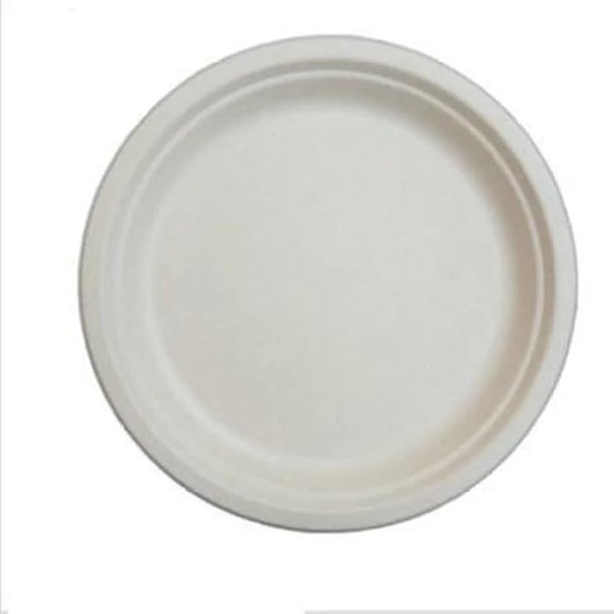 Bagasse plates