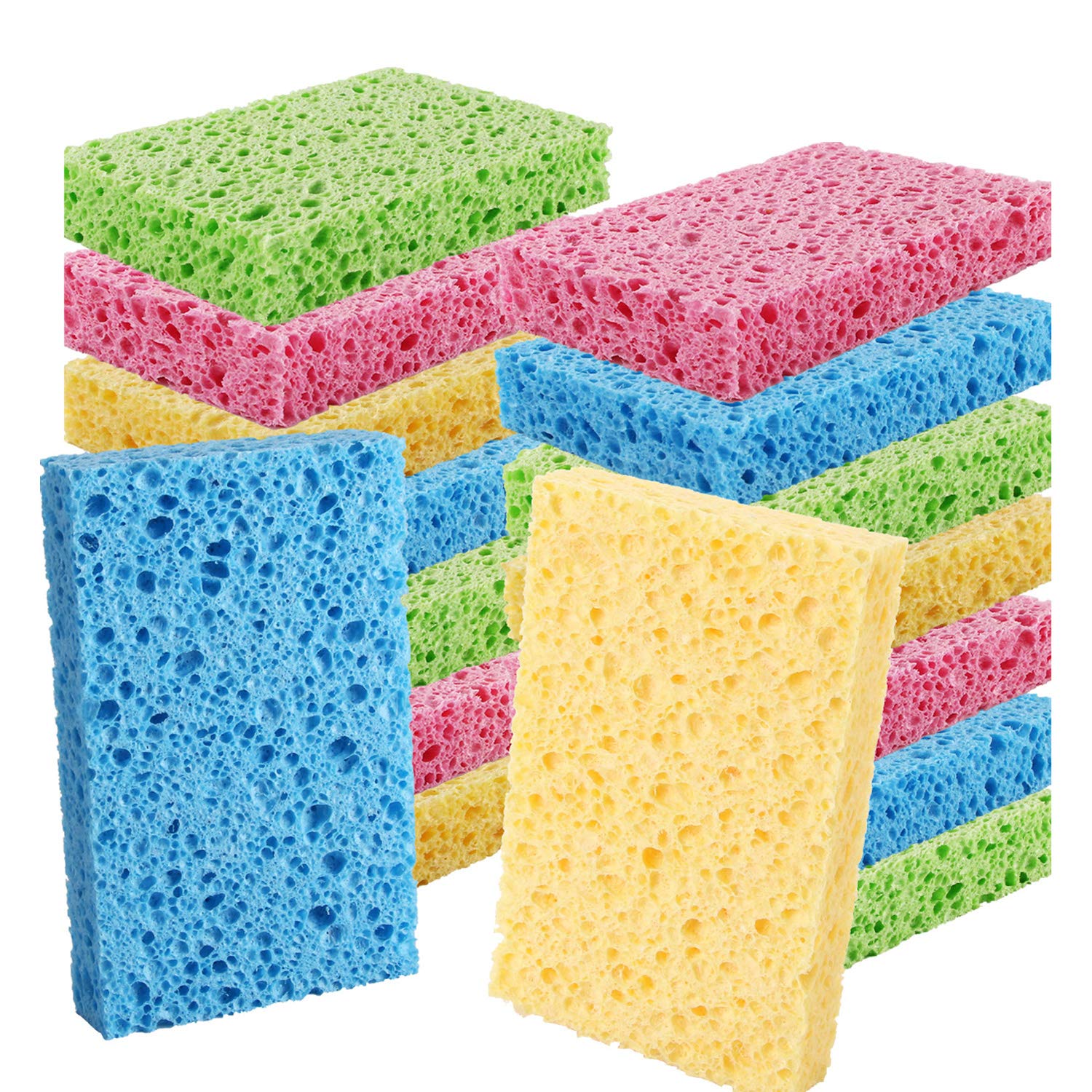 Sponges